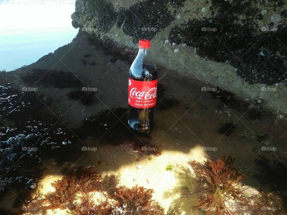 Sweety cocacola and magic nature near the beach at essaouira in Morocco.