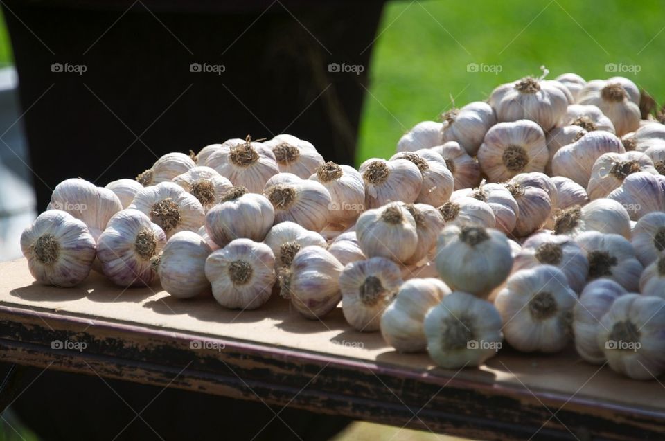 Garlic