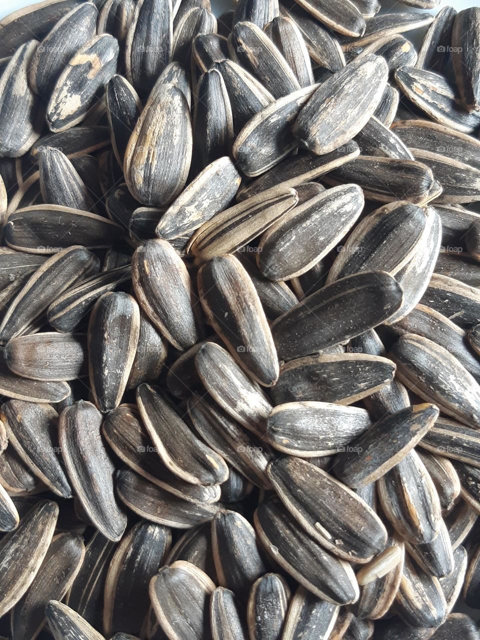 Heaps of sunflower seeds