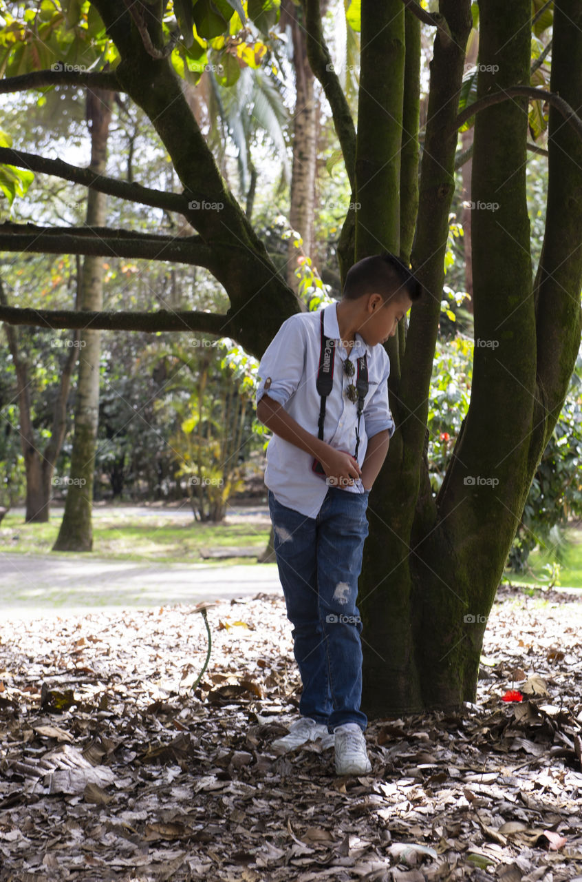 Child photographer 