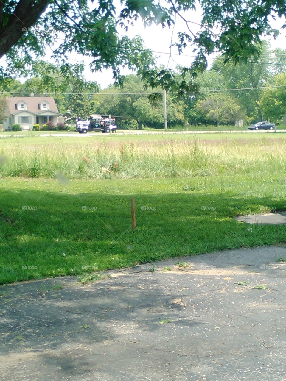 noisy thing . this is from a festival down the street