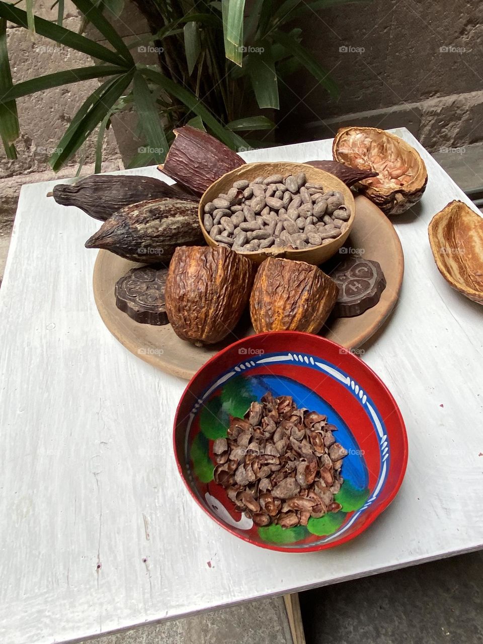 Cocoa fruit and seeds
