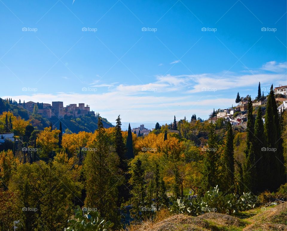 Fall, No Person, Travel, Landscape, Tree