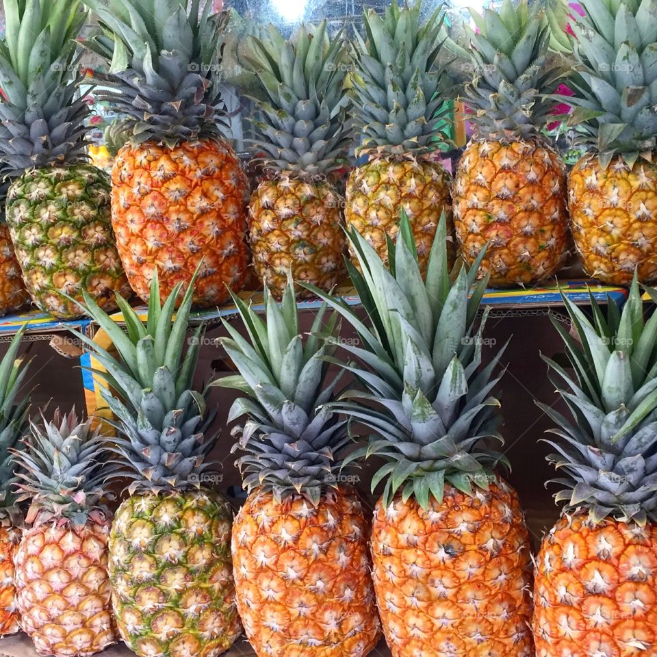 Pineapple delight arranged in two delicious lines, tropical,delicious fruit,full of vitamins 