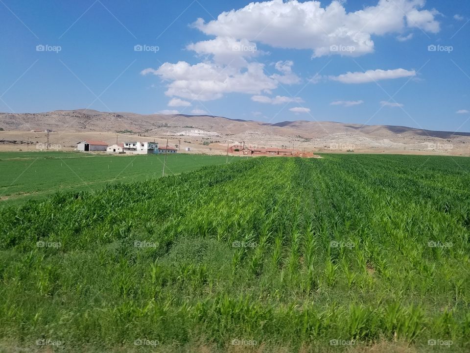 farmland off the highway on the way to cappadocia turkey