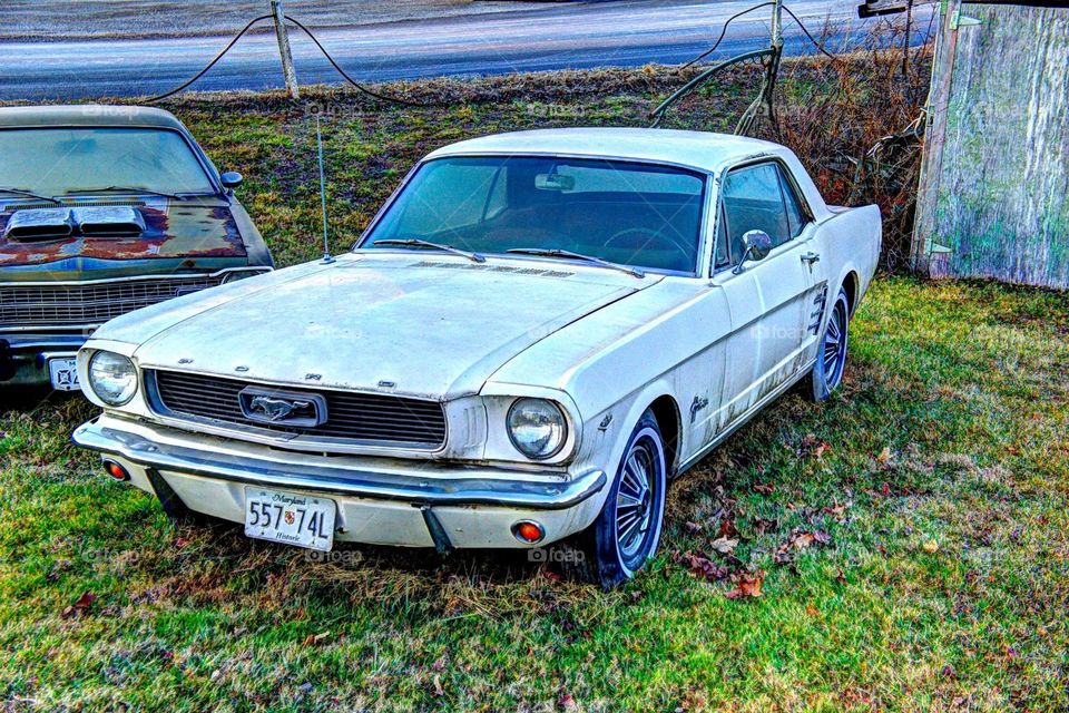 
HDR mustang