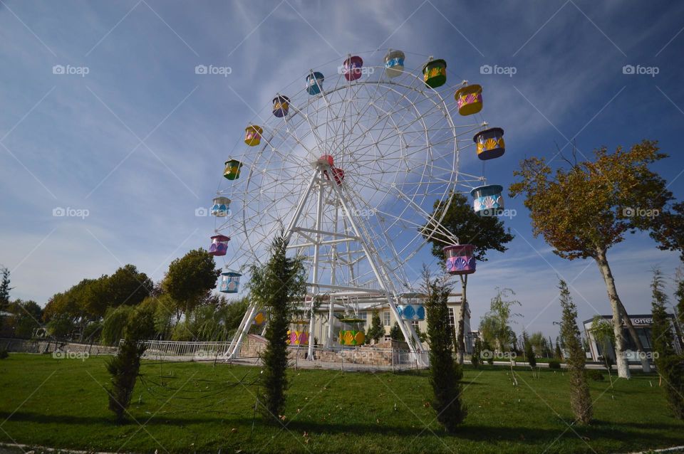 ferris wheel vidsntzu park lawn and trees