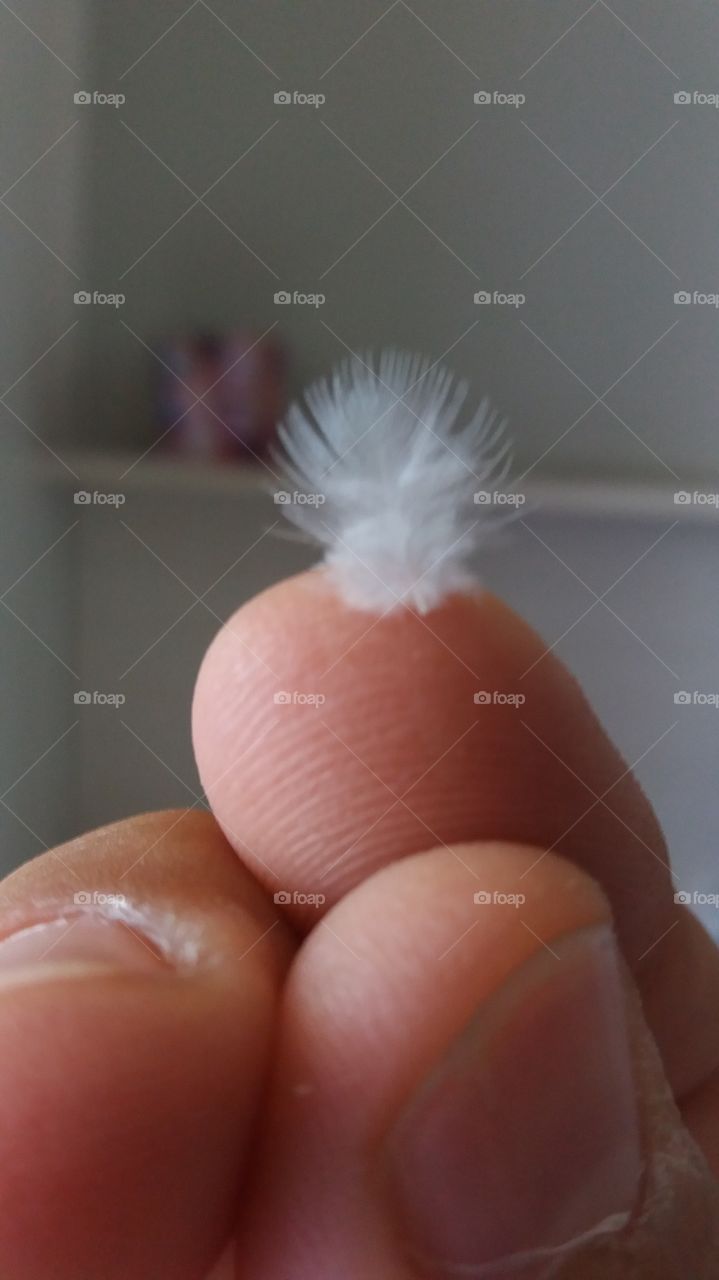 A Light feather