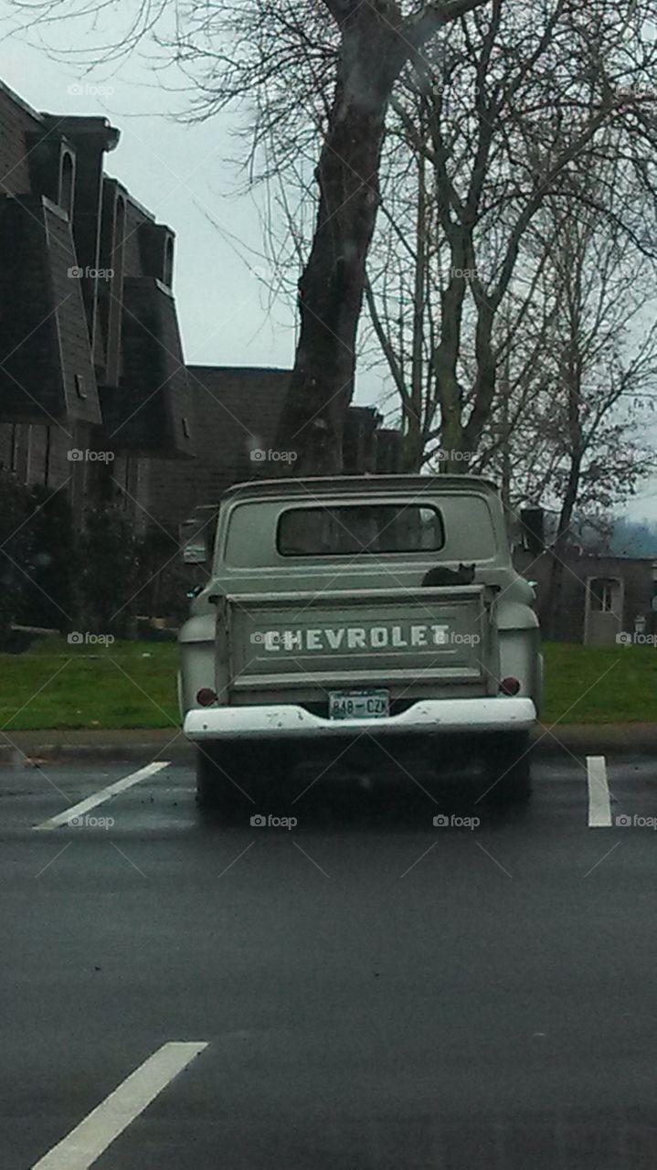 old Chevrolet in Tennessee