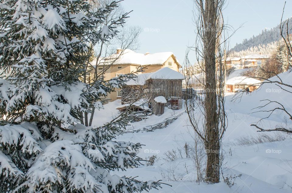 Winter landscape, Ravnogor Village, Bulgaria