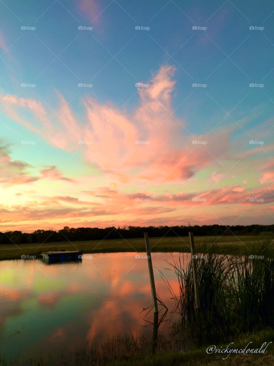 Pink clouds at sunset reflecting in a pond