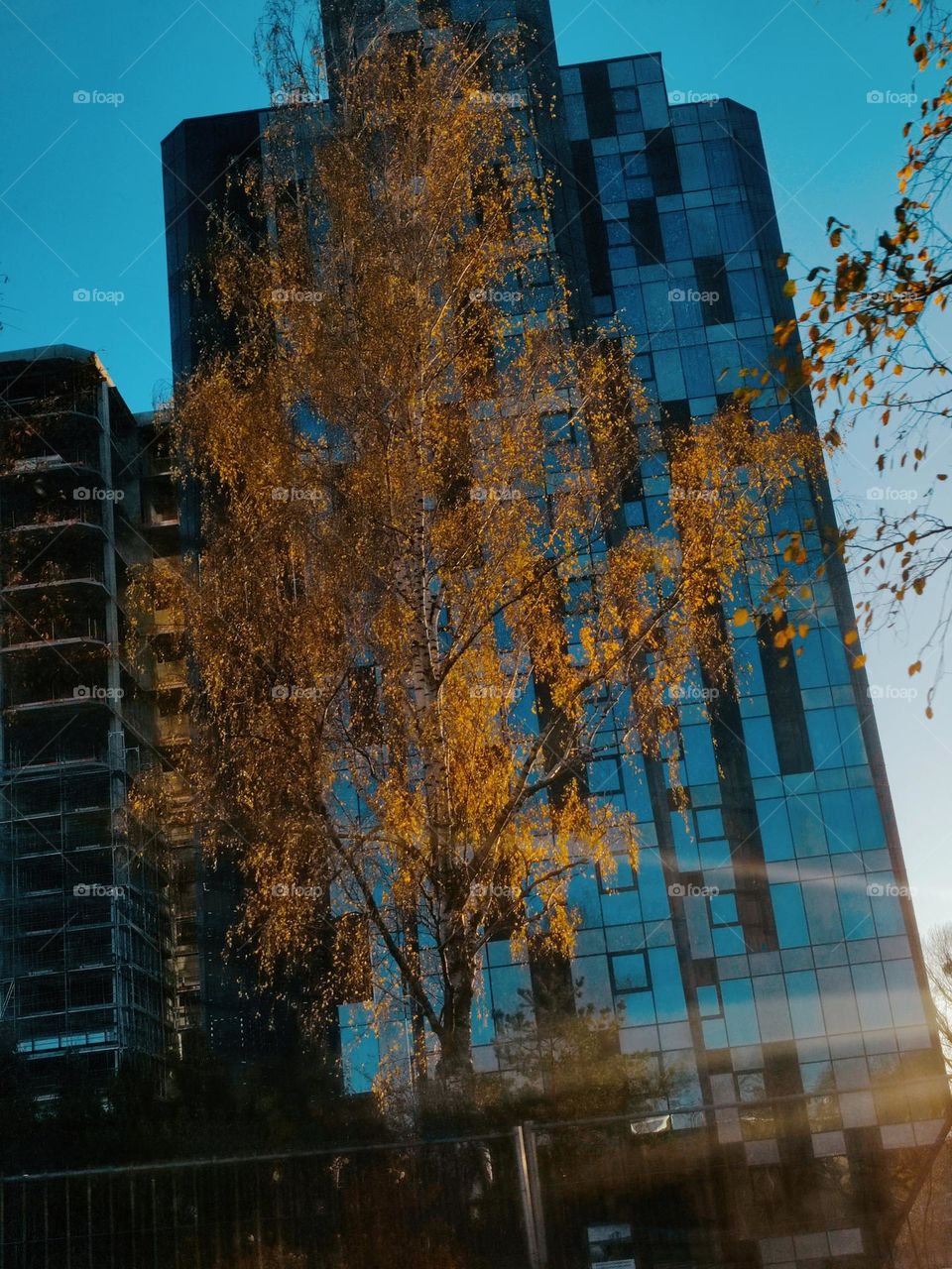 Blue & orange colors