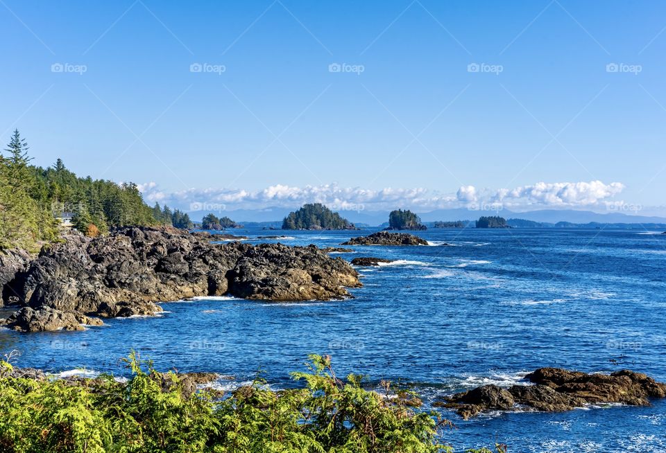 Rugged seaside with trees, rocky islands and foamy ocean at Wild Pacific Trail on Vancouver Island, Canada 