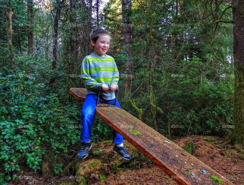 Happy boy on a see-saw