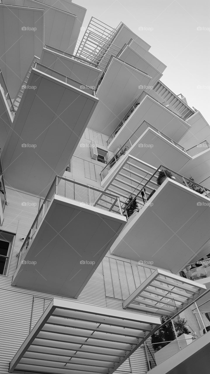 Montpellier der weiße Baum