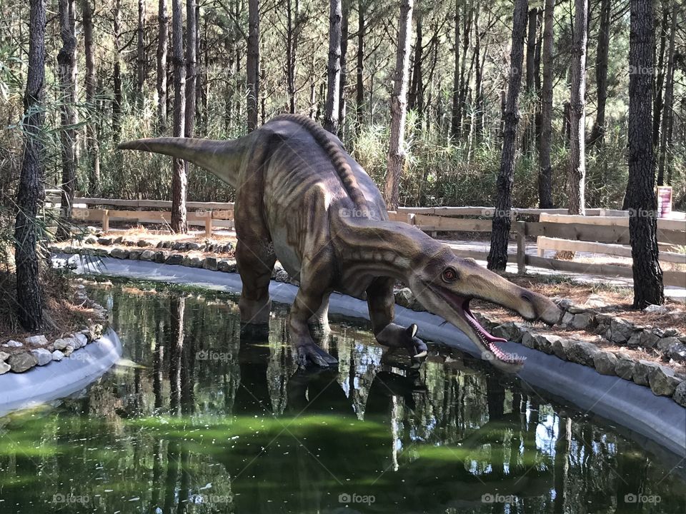 Dino parque Lourinhã 
