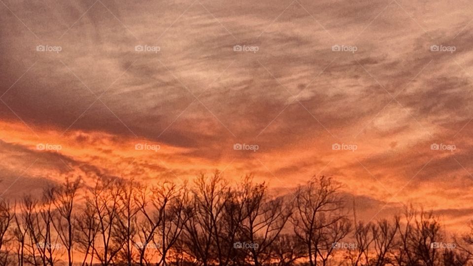 As the Twilight continues its evening cycle strong begin-to work into the Evening. Nice begins to bring light into the Sunset. 