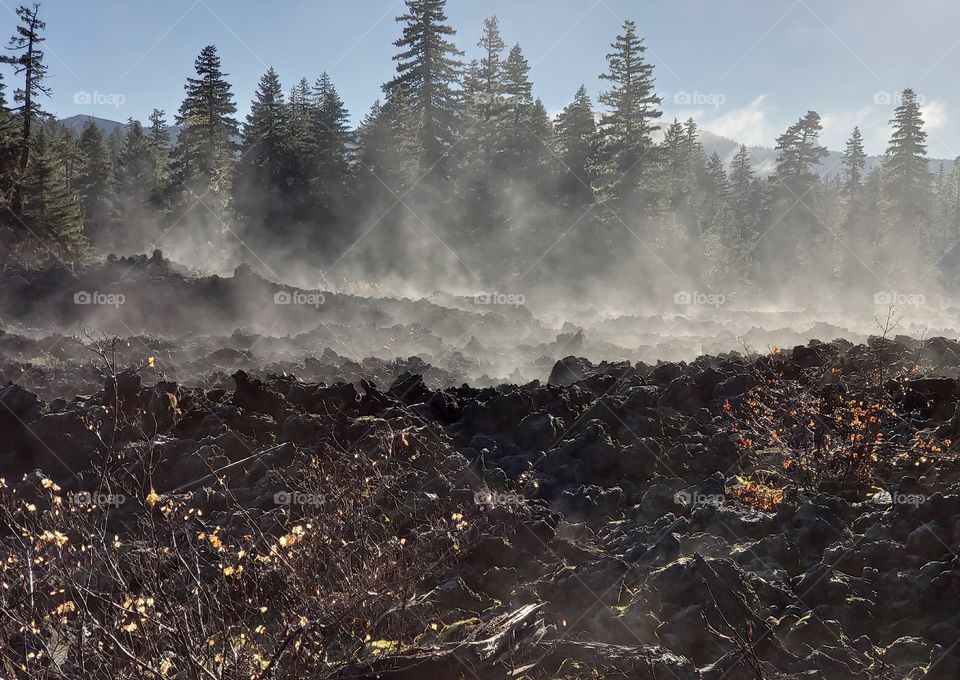 Morning mist rising from a field of lava rock on a sunny winter day in the forests of Oregon. 