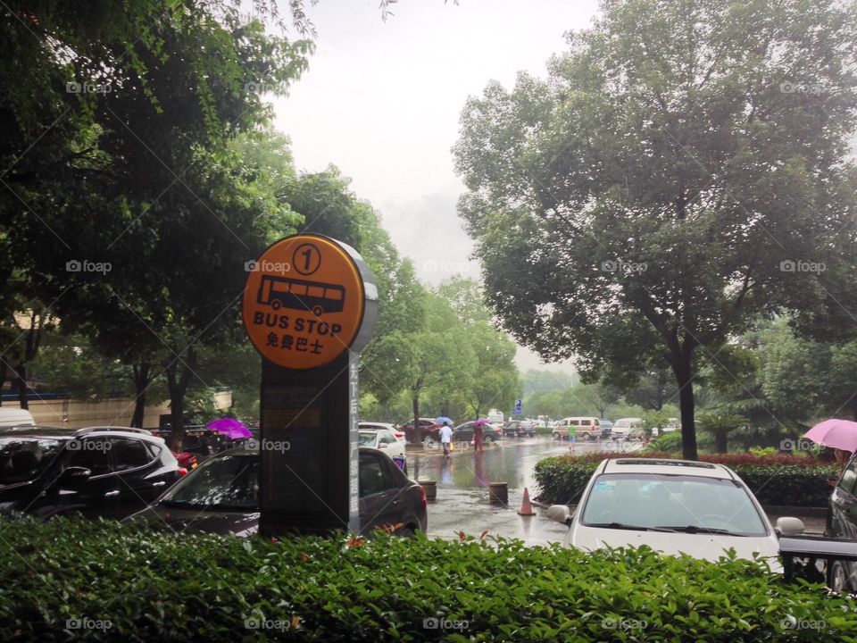 Bus stop under rain