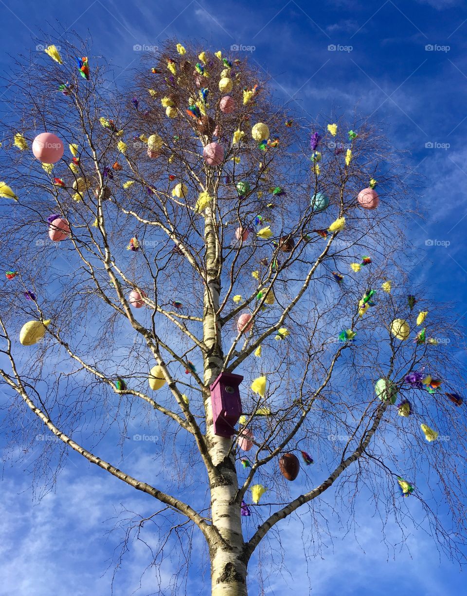 Easter in Birch