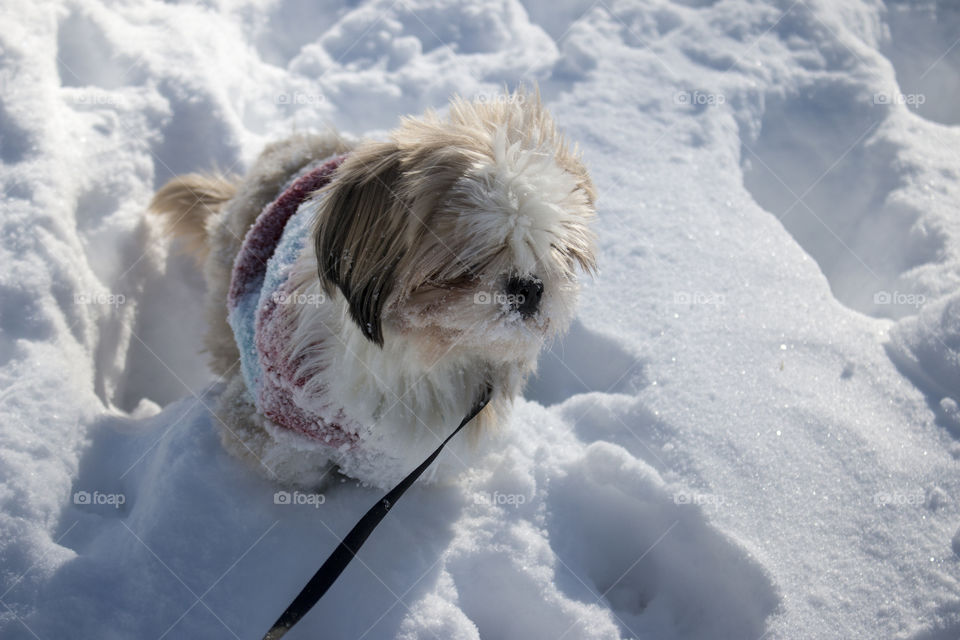 Out on the snow