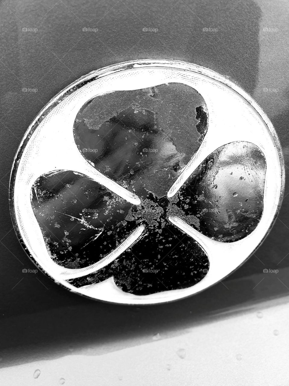 Black and white close-up shot on the Alfa Romeo cloverleaf emblem seen at Cherbourg car show