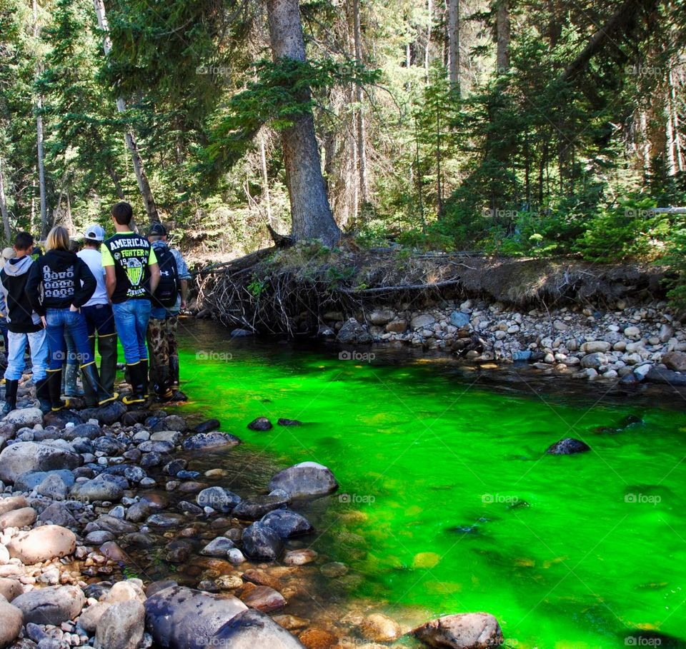Field Trip on Water Quality