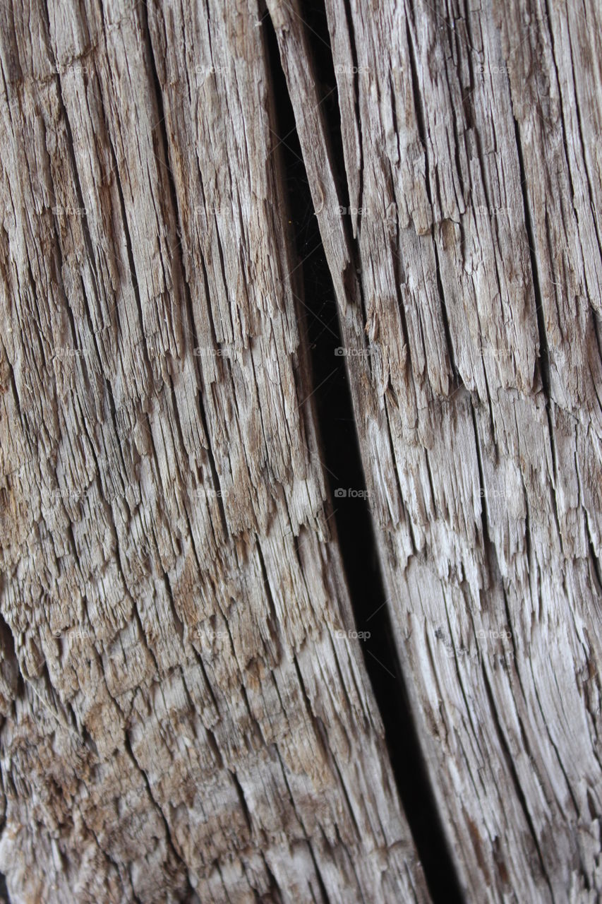 Upclose wood