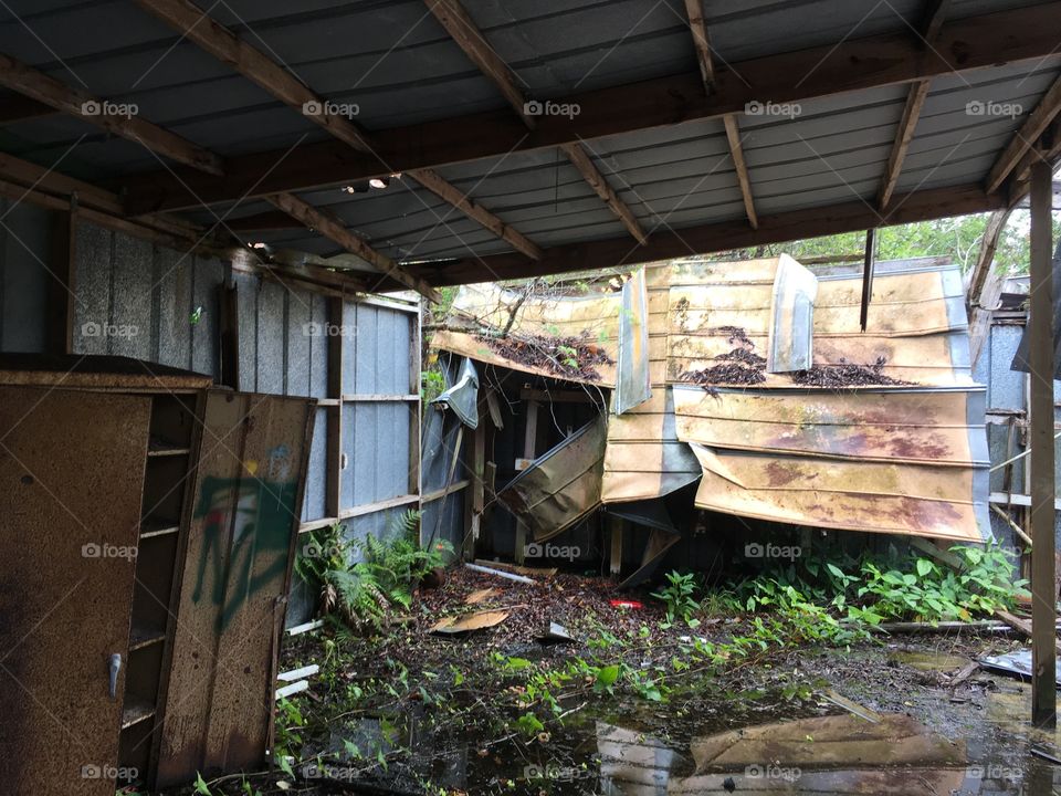 Abandoned Jungleland Zoo