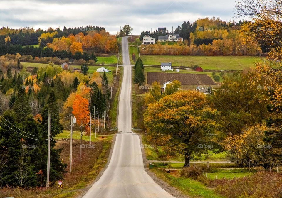 County Road.  Autumn paints the country farmland of Aroostook County in northern Maine.