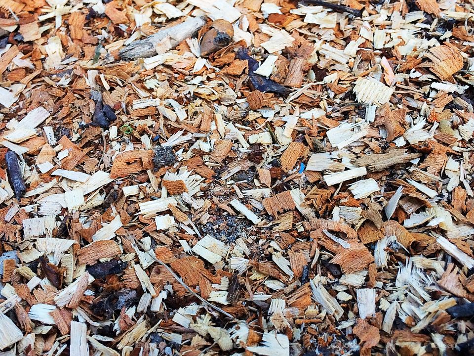 Wood chips 