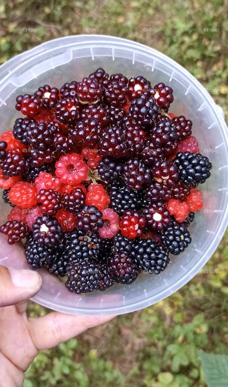 berries in the hand summer tasty healthy food, mobile photography