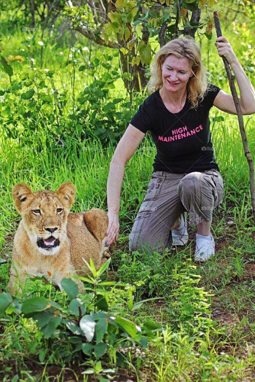 Walking with the lions