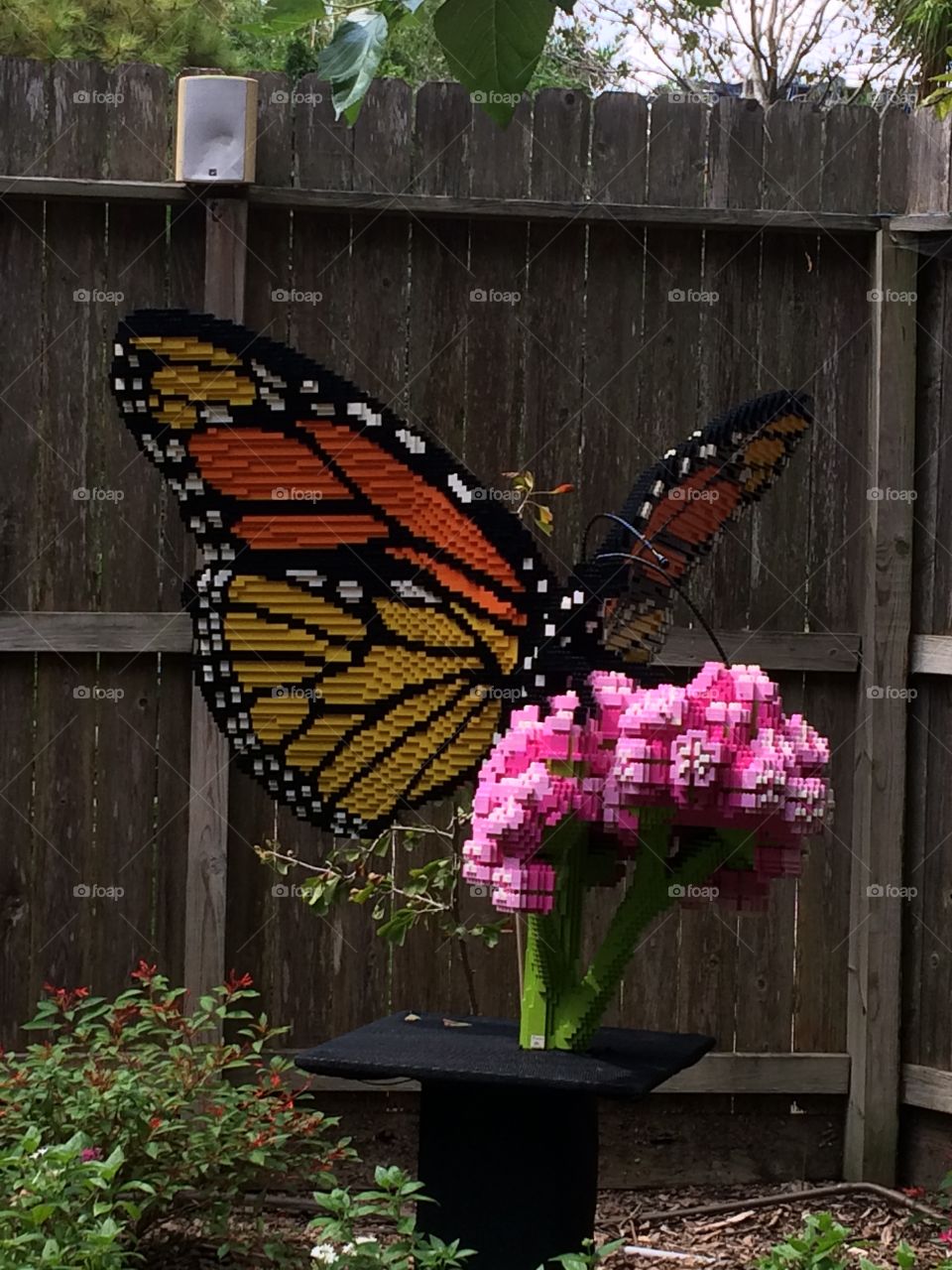 LEGO butterfly at Houston zoo
