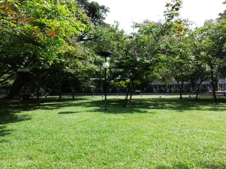 It's a peaceful place # Park