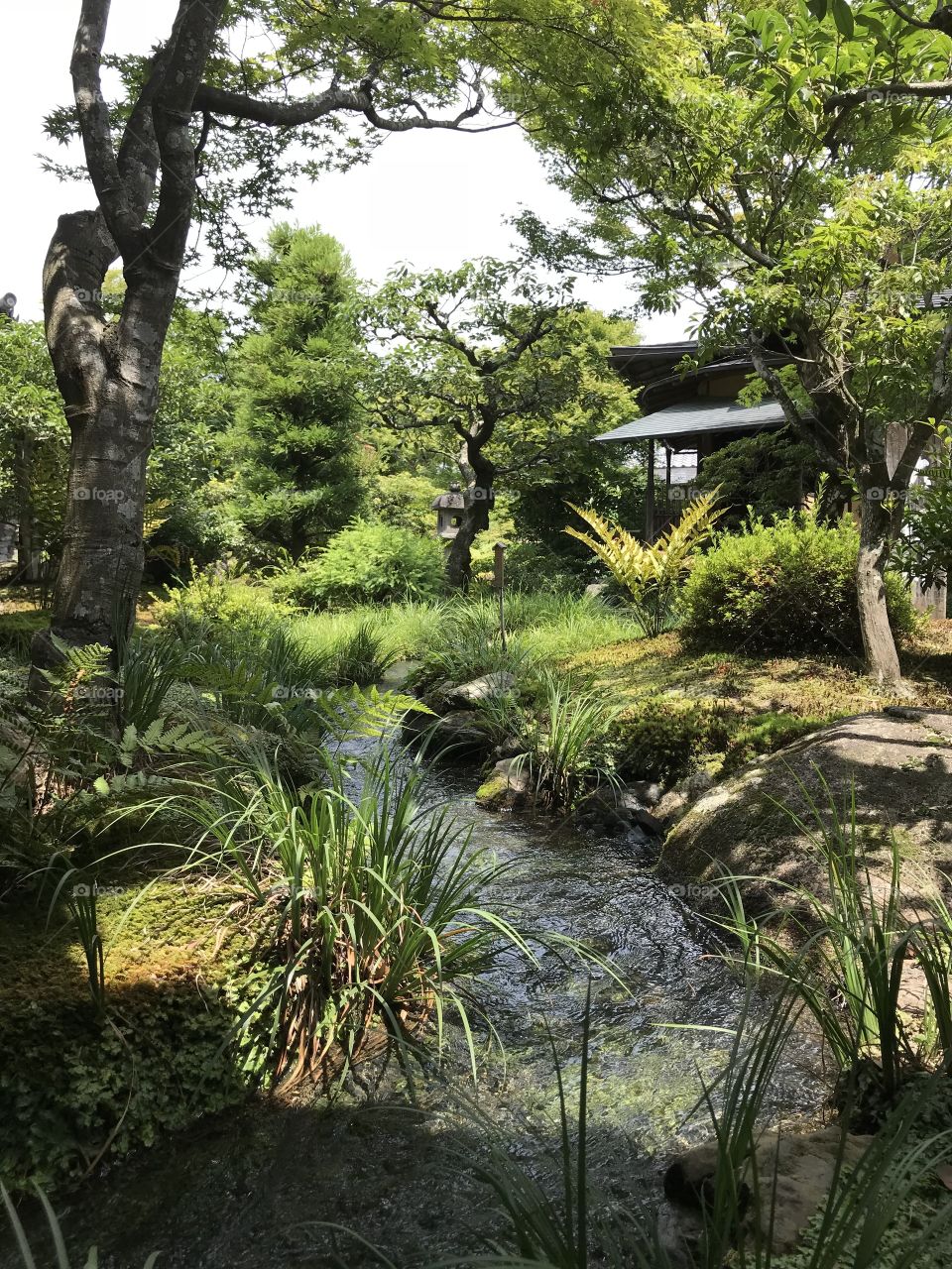 Japanese palace garden