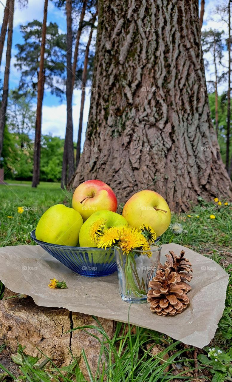 picnic in nature