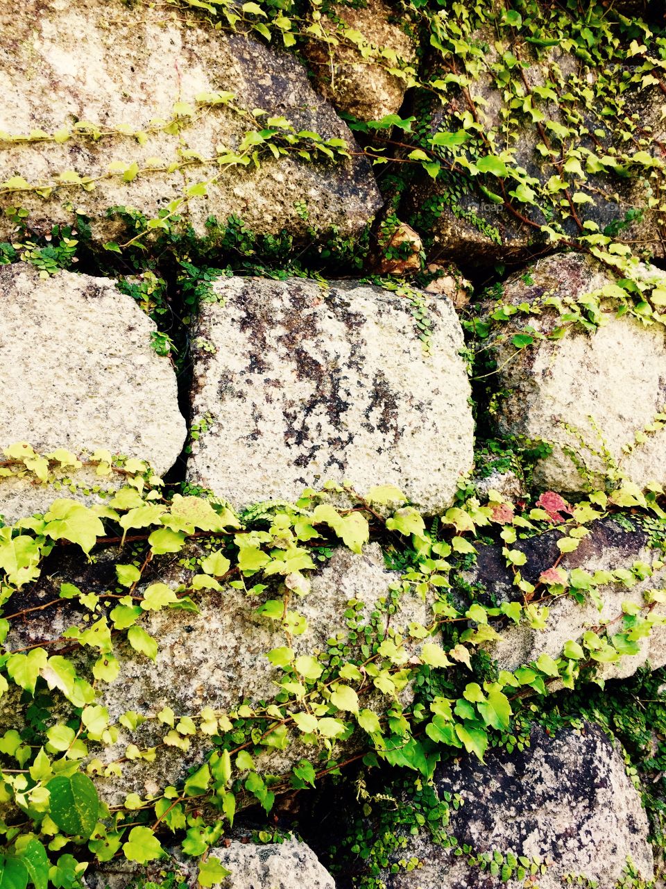 beautiful old stone wall