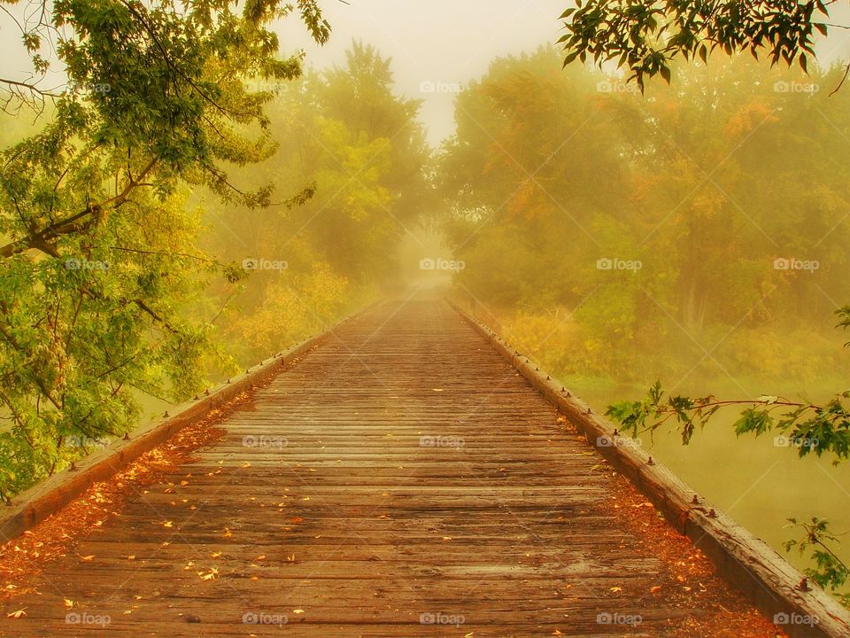 Misty wooden bridge