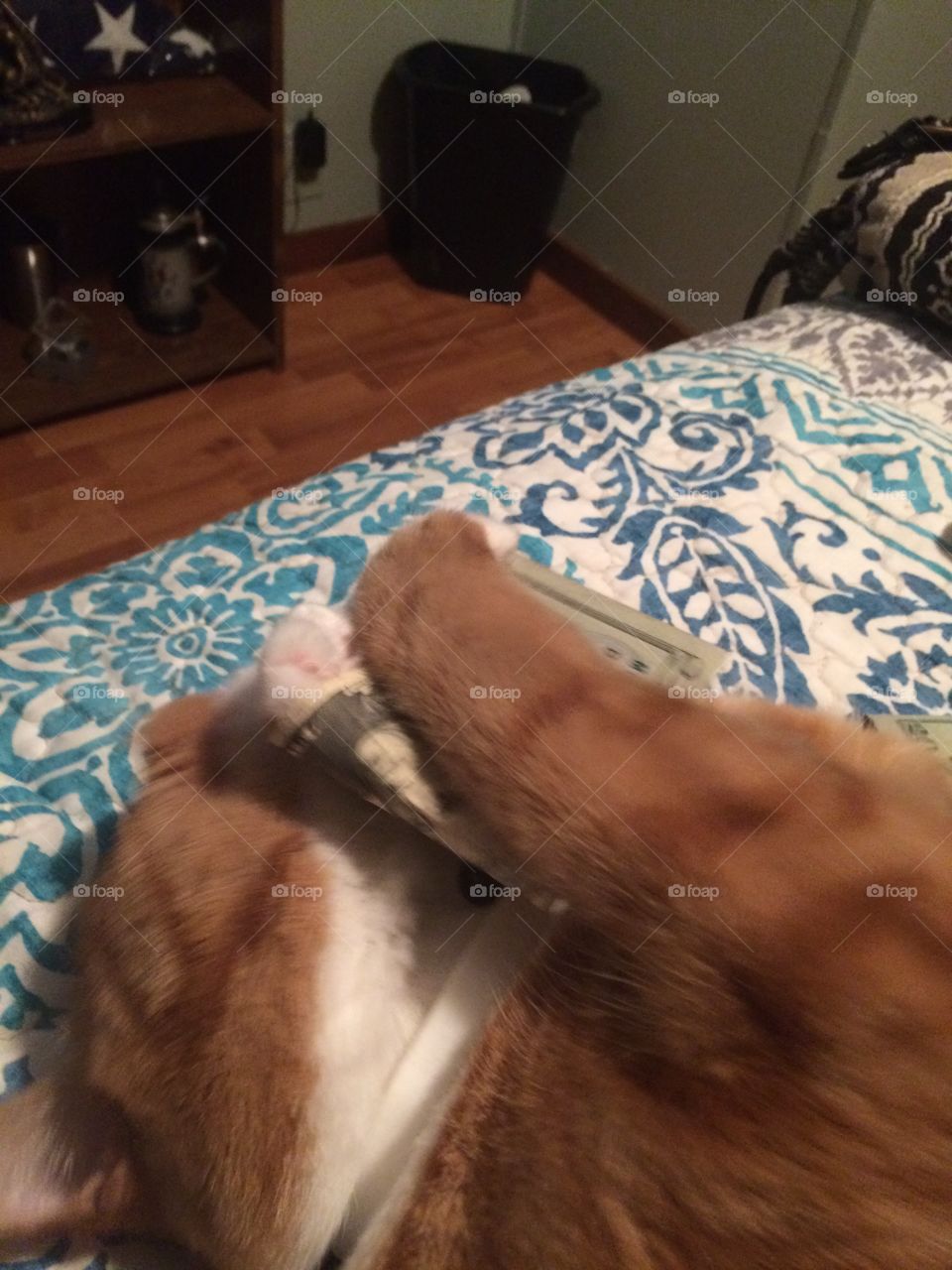 Morris stole the money 