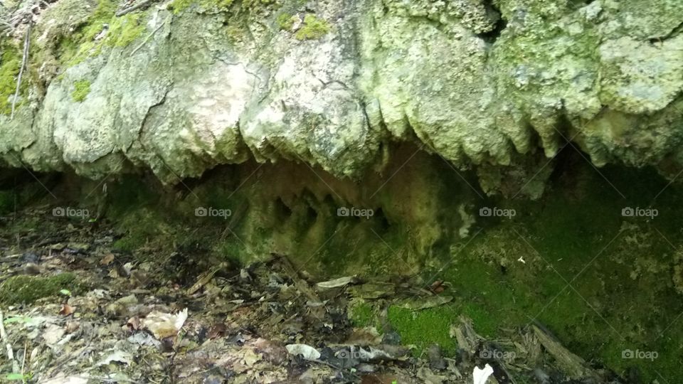 See water dripping down from small cave