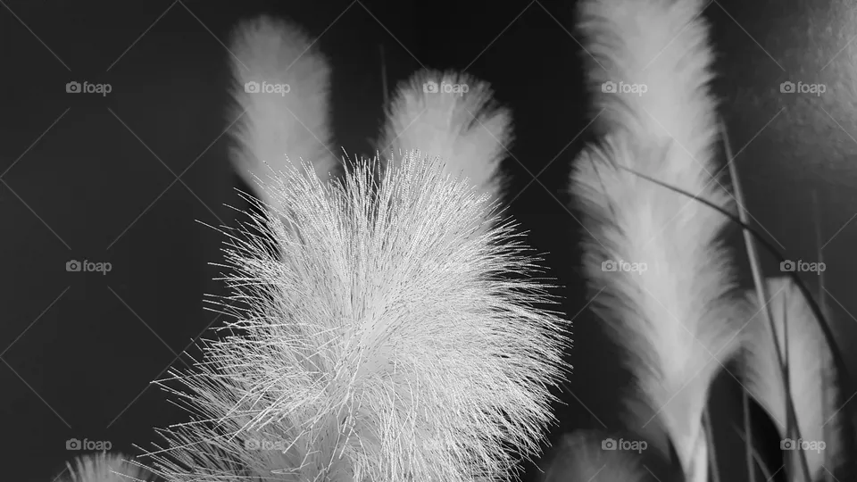 Fake plant