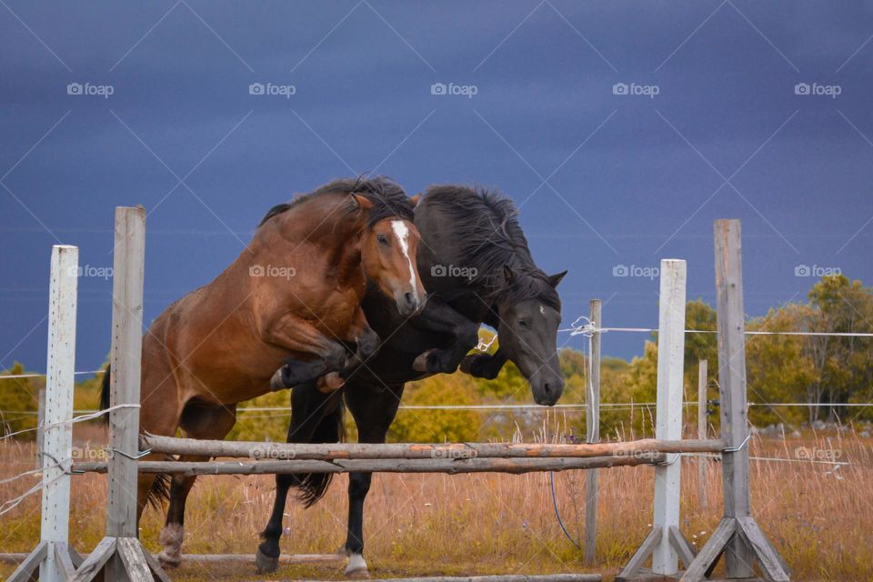 "Together is better"