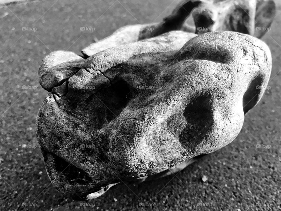 Foolish simpleton of dreadful suffering heavy dad figure, structured to care and first having to figure out ...what to live for?pleasure island...or living for responsibility towards others... choices...decide...mhm cluster fuck