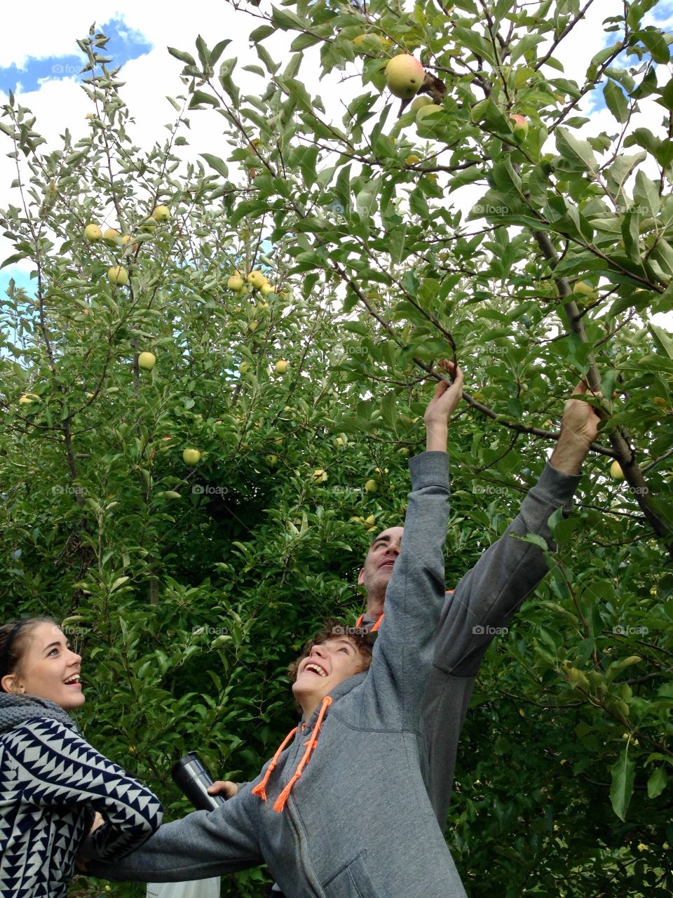 Apple Picking