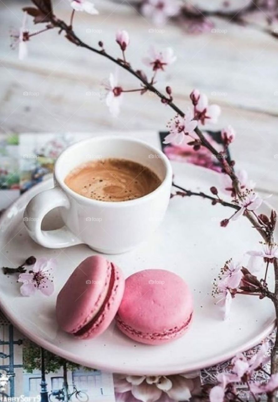 Bom dia.Good Morning.