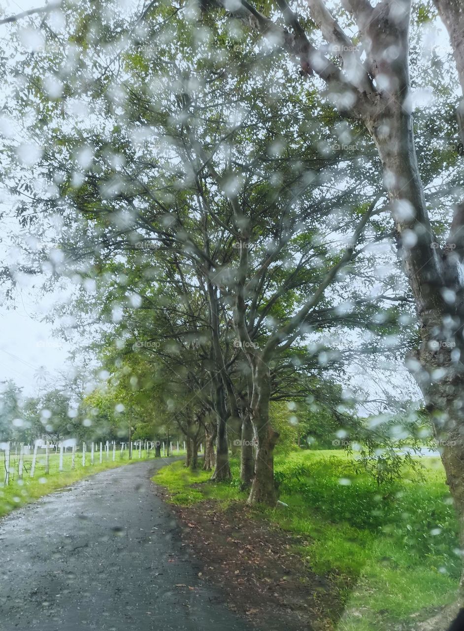 Country side in Sri Lanka on a rainy day