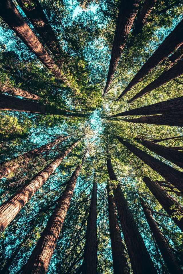 perspective matter
