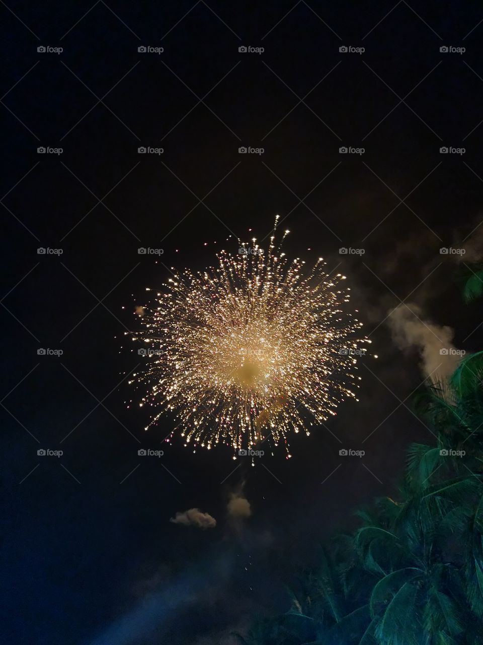 Fireworks delight the dark sky