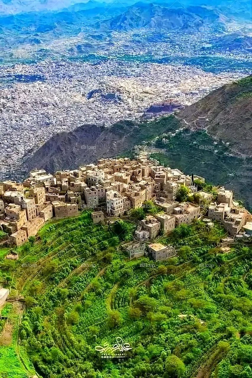 A very beautiful picture, and there is no better picture than it. There is no better picture of green herbs and colorful, red and white roses than it. Glory be to God, the natural and picturesque view, and there is no more